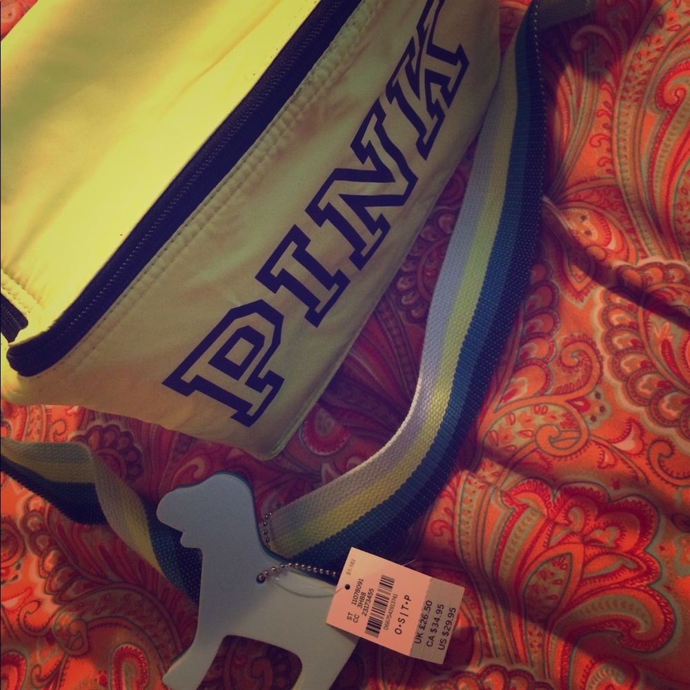 Y2K Victoria’s Secret PINK COOLER BAG